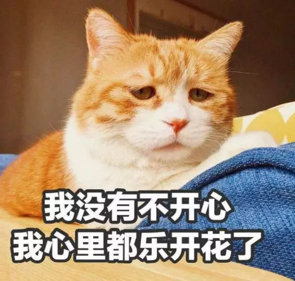 手機電池生產廠家排行